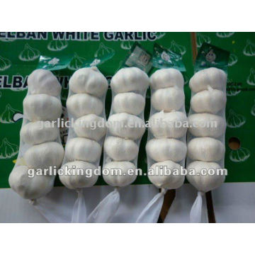 Wholesale fresh garlic/China fresh garlic/Low price garlic